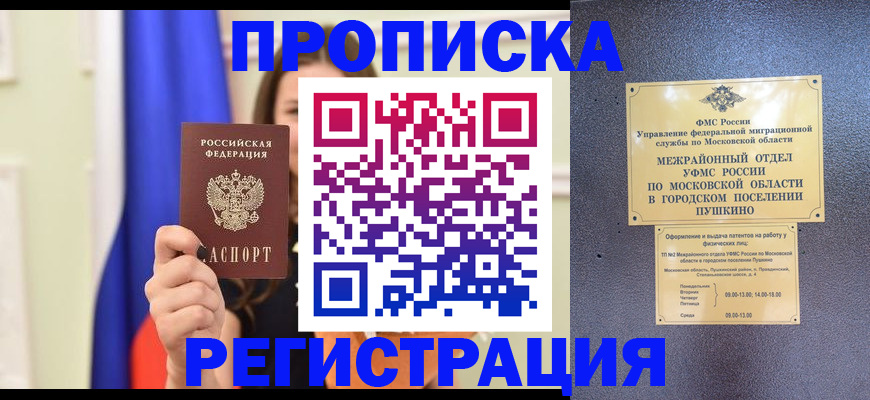 где прописаться в Коле